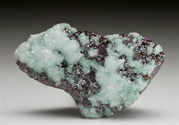 CC7317 specimen image