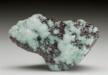 CC7317 specimen image