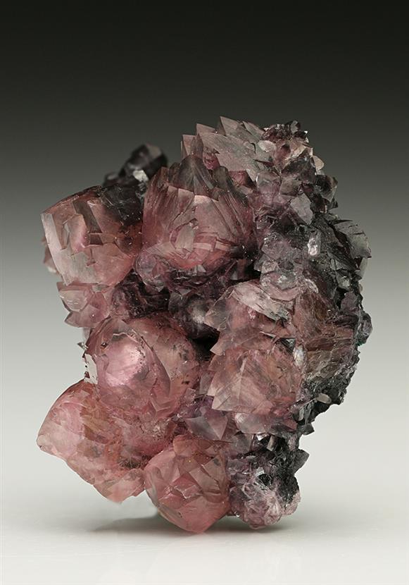 CC7322 specimen image
