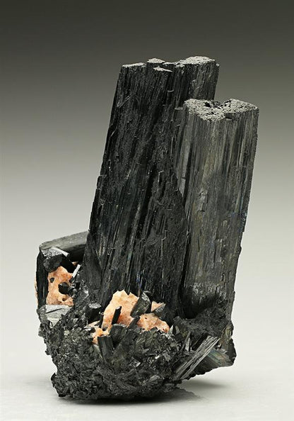 CC7323 specimen image