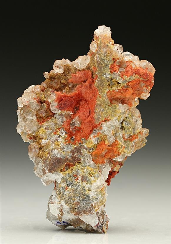 CC7337 specimen image