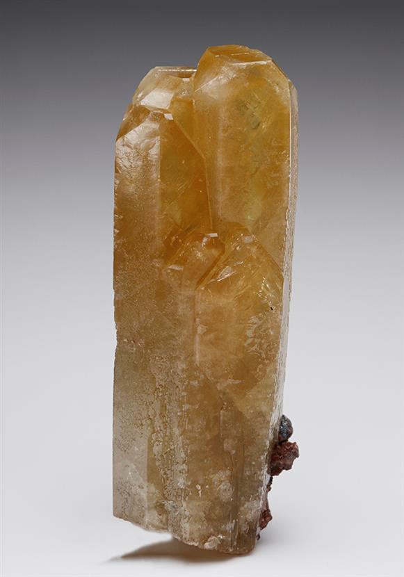 CC7349 specimen image