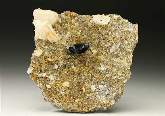 CC7354 specimen image