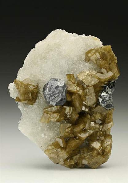 CC7360 specimen image
