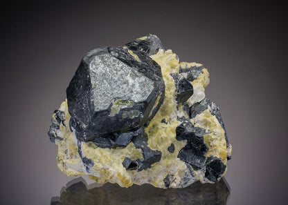 CC7367 specimen image