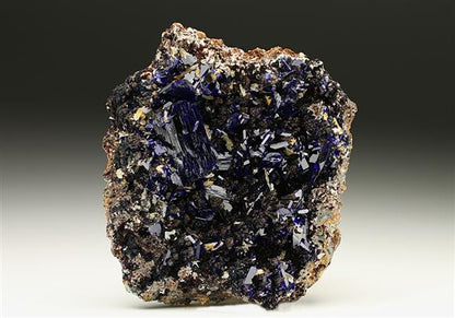 CC7372 specimen image