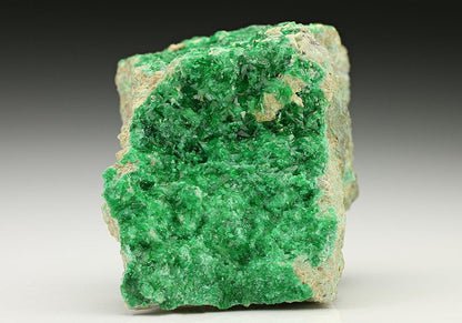 CC7374 specimen image