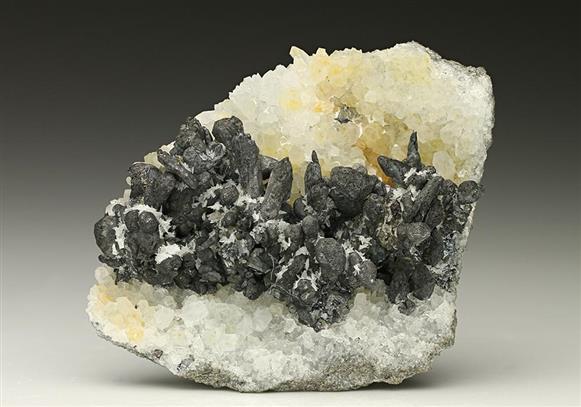 CC7385 specimen image