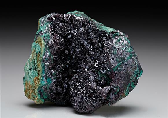 CC7400 specimen image