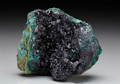 CC7400 specimen image