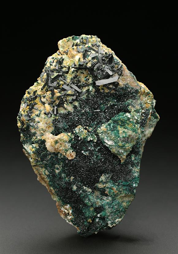 CC7436 specimen image