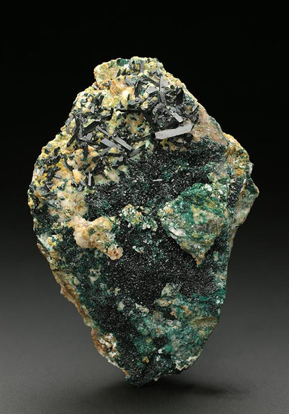 CC7436 specimen image