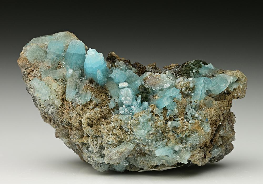 CC7443 specimen image