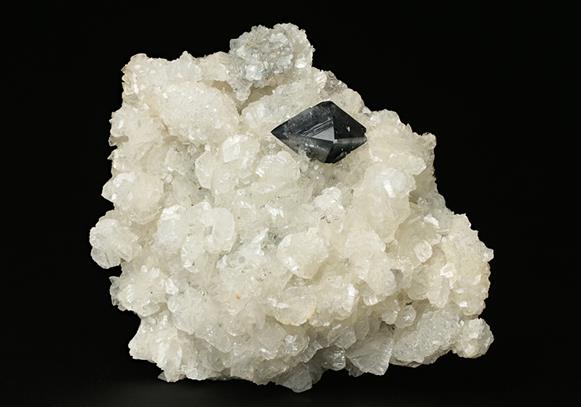 CC7446 specimen image
