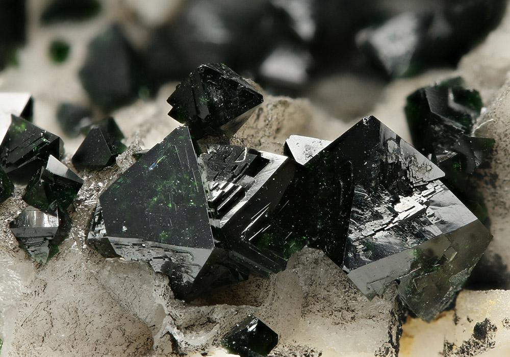 CC7481 specimen image