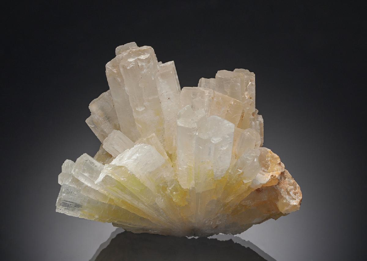 CC7483 specimen image