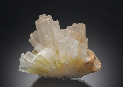 CC7483 specimen image