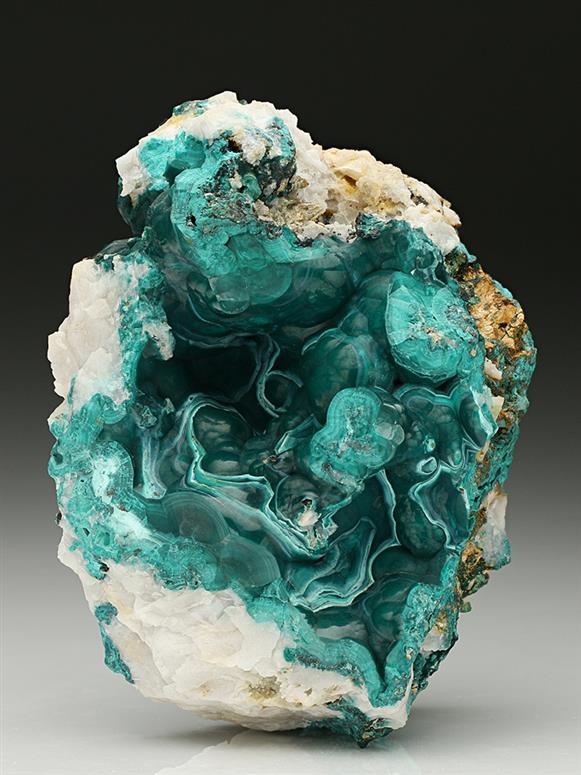 CC7486 specimen image