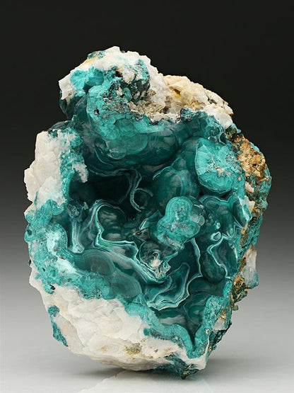 CC7486 specimen image