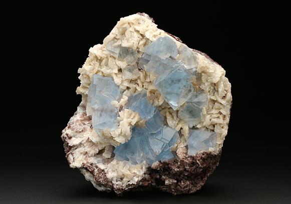 CC7497 specimen image