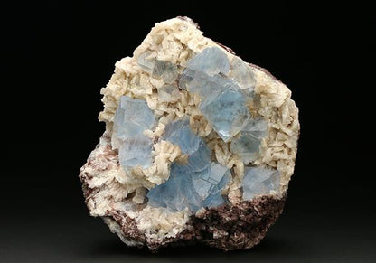 CC7497 specimen image