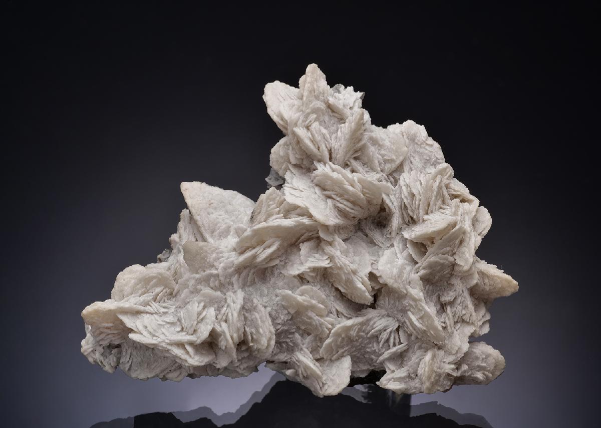 CC7502 specimen image