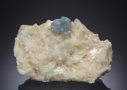 CC7519 specimen image