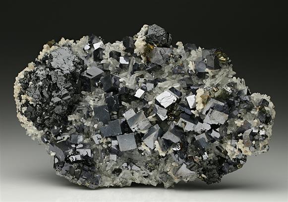 CC7525 specimen image