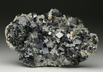 CC7525 specimen image