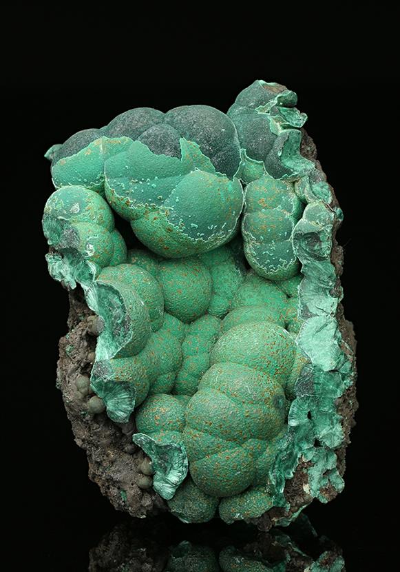 CC7534 specimen image