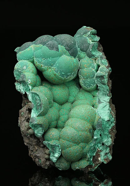 CC7534 specimen image