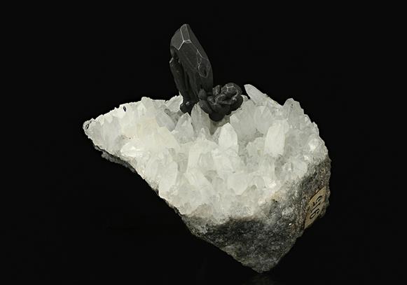CC7535 specimen image