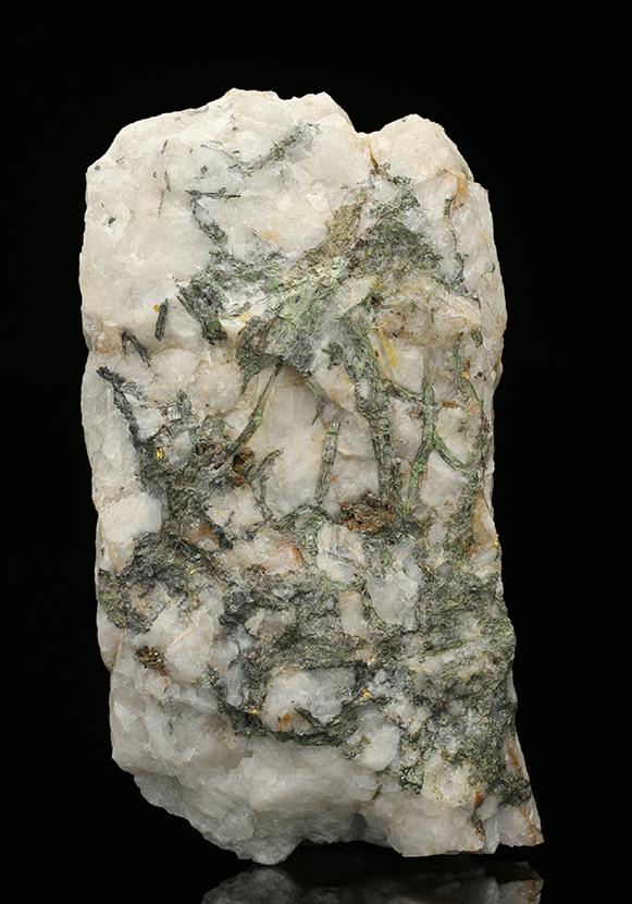 CC7540 specimen image