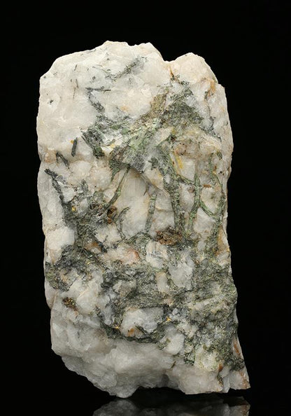 CC7540 specimen image