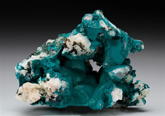 CC7542 specimen image