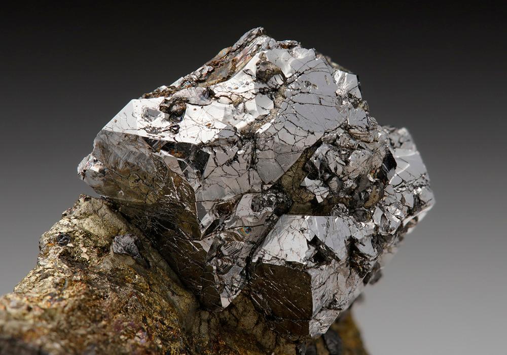 CC7545 specimen image