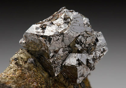 CC7545 specimen image