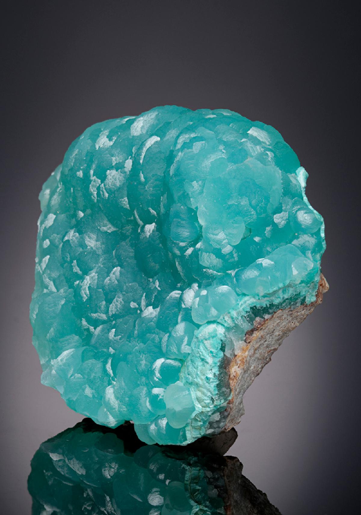 CC7546 specimen image