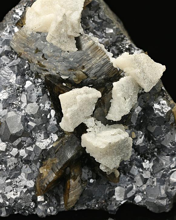 CC7554 specimen image