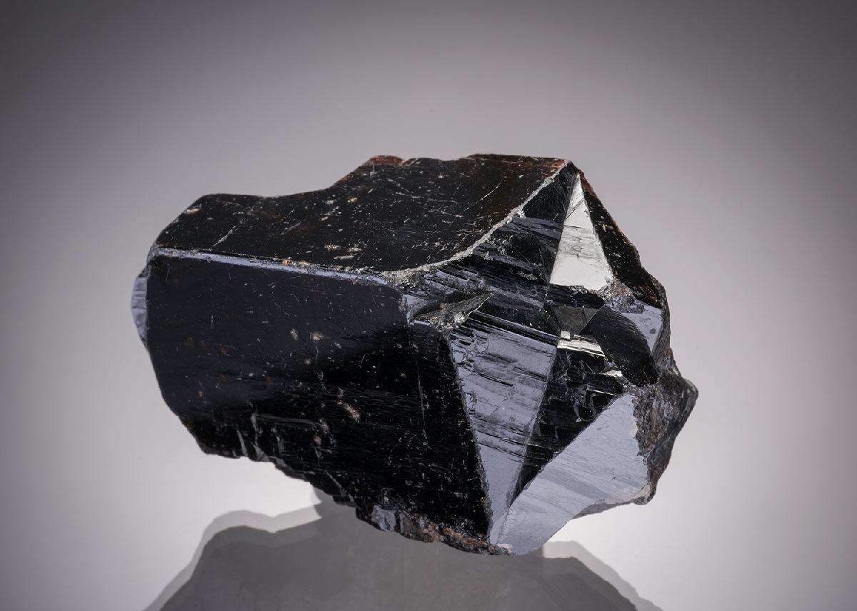 CC7558 specimen image