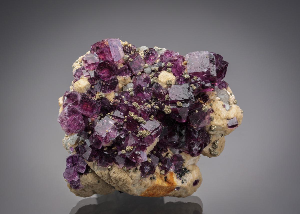 CC7566 specimen image