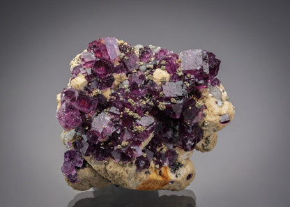 CC7566 specimen image