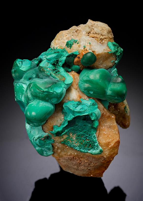 CC7570 specimen image