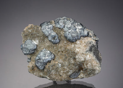CC7571 specimen image