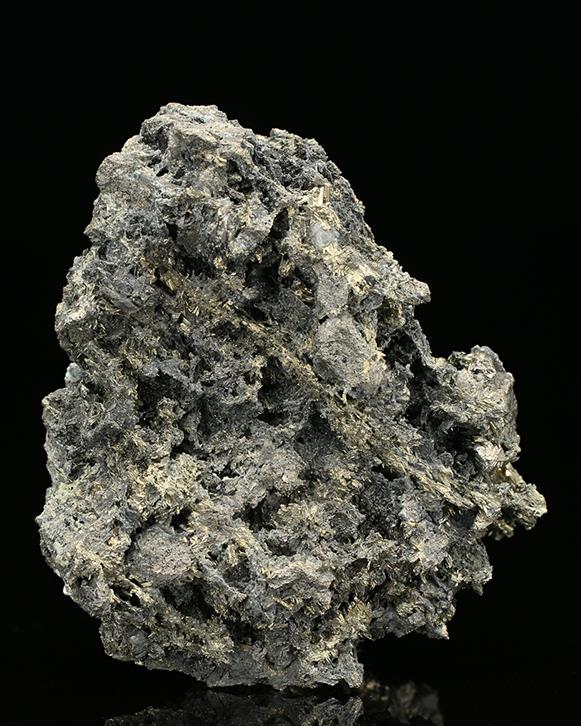CC7575 specimen image