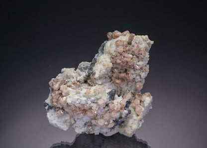 CC7586 specimen image