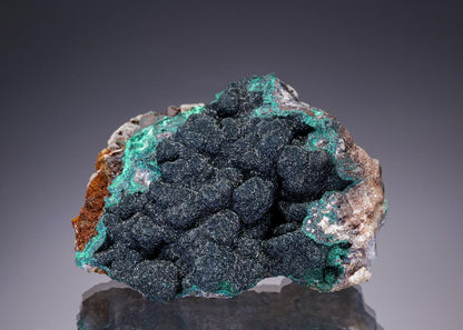CC7601 specimen image