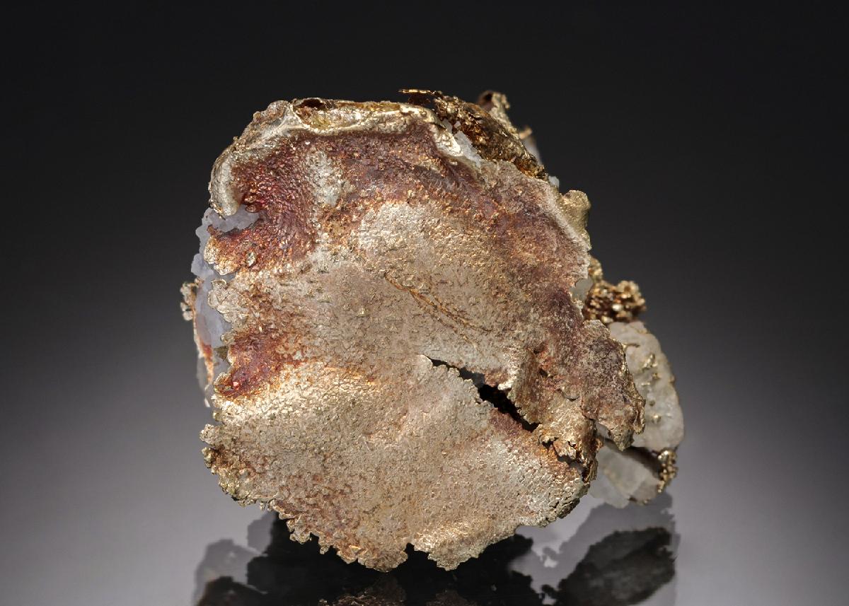 CC7604 specimen image