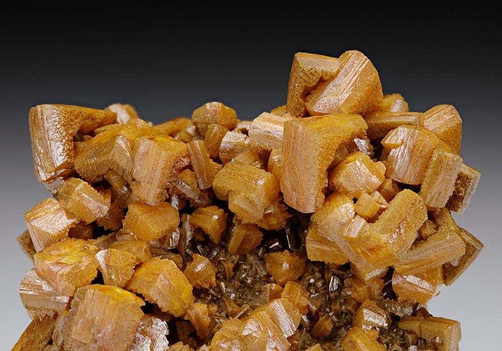 CC7605 specimen image