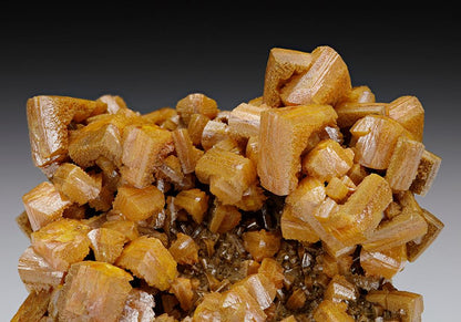 CC7605 specimen image